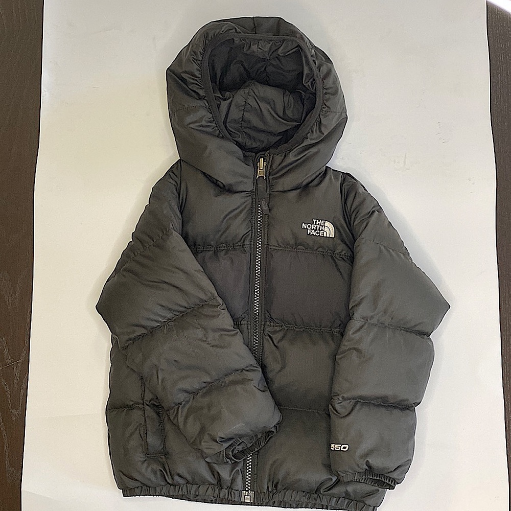 Reversible North Face Puffy Coat